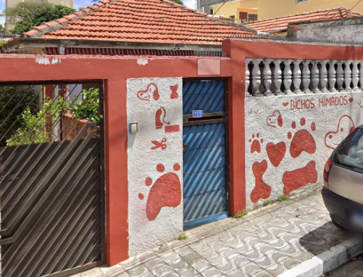 petshop em sao miguel petshop perto de mim petshop em sao miguel perto de mim petshop em sao paulo petshop perto de mim caes gatos cuidado de animais sao miguel 10