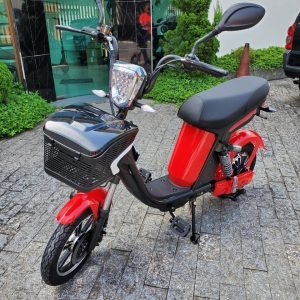 Bicicleta elétrica adulto DYFLY 350W