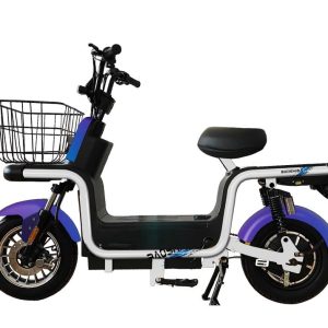 Scooter Elétrica adulto 1000W
