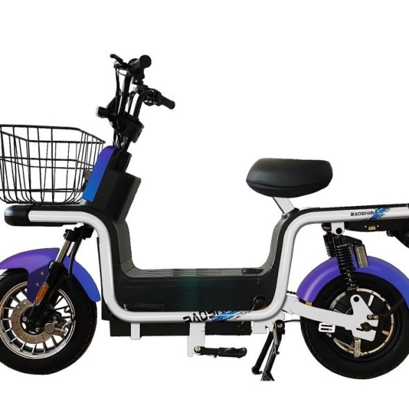 Scooter Elétrica adulto 1000W
