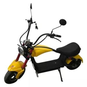 Scooter elétrica adulto 1000W