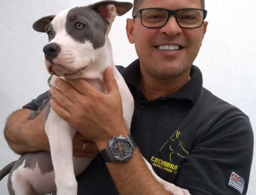 Adestrador de Cachorro Zona Leste / Cachorraria comportamento & treinamento