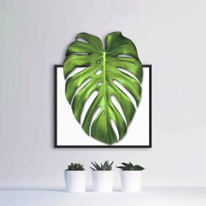 Quadro decorativo Costela de Adão